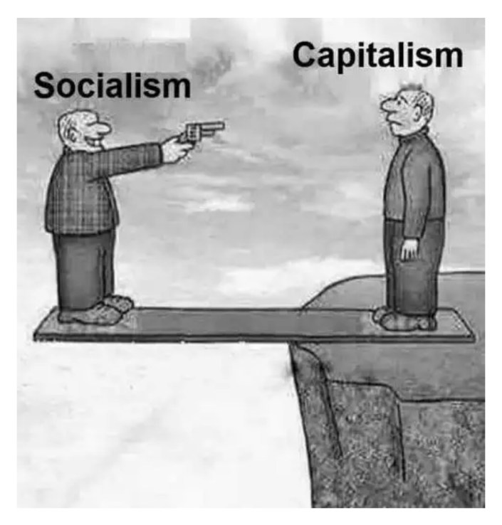 socialism/capitalism